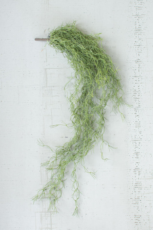 Artificial Green Moss stem to add a finished mature look to any arrangement.