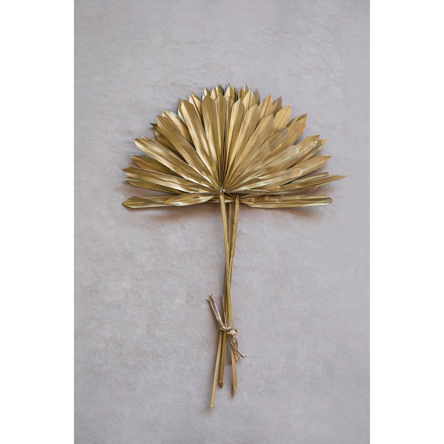 Dried Natural Sun Cut Palm, Gold Finish