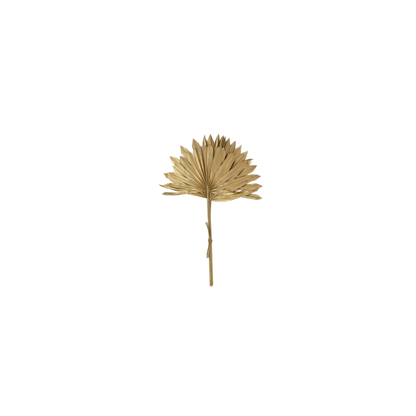 Dried Natural Sun Cut Palm, Gold Finish