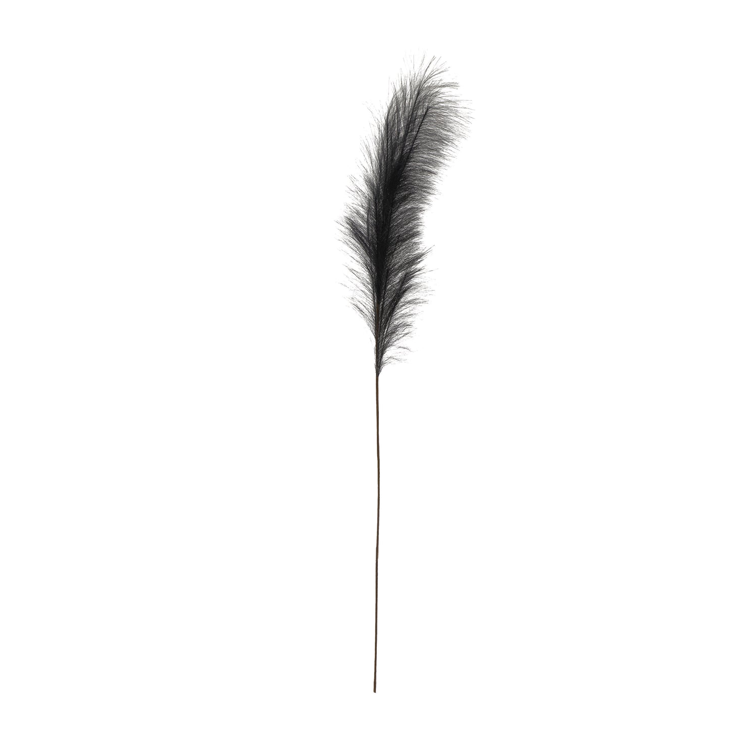 Faux Pampas Grass Plume, Midnight Color