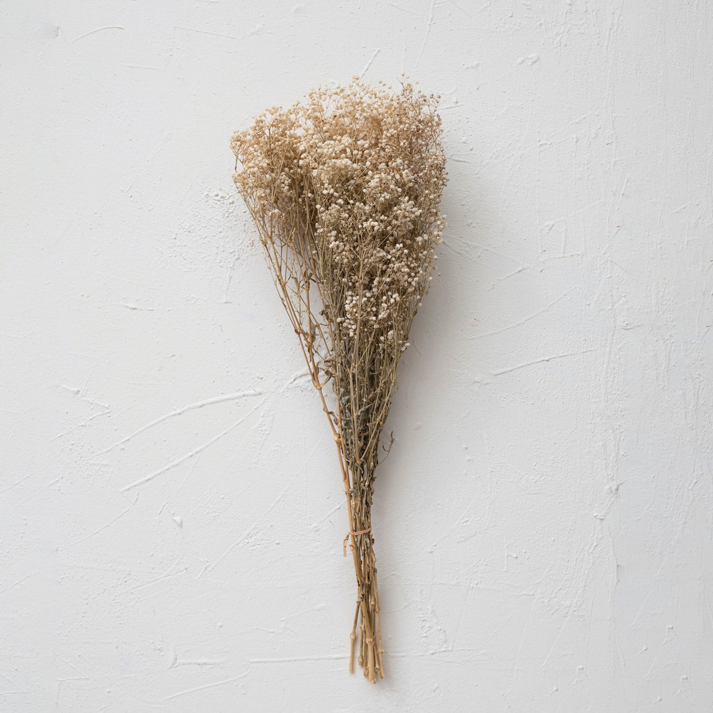 Dried Natural Baby's Breath Bunch