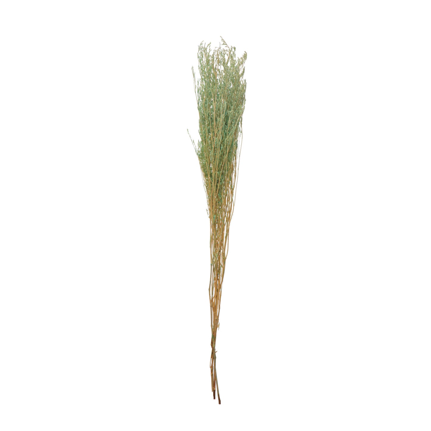 Dried Natural Love Grass