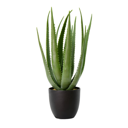 Green Potted Aloe Vera Faux Plant