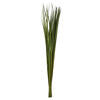 Sable Grass