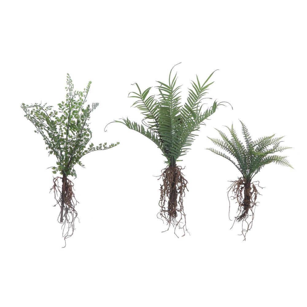 Light and fun are the 15"H Faux Ferns w/ Exposed Roots Botanical which are perfect by themselves in a clear glass vase, in a basket, or in your faux terrarium. Comes in 3 Styles.