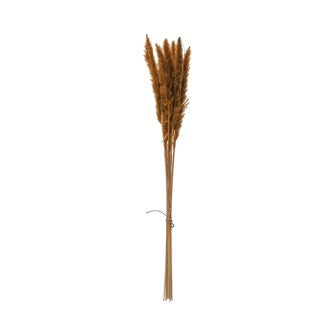 Beautiful 25-1/2"H Dried Natural Pampas Grass Bunch in a Mustard Color is a perfect filler for your favorite vase.