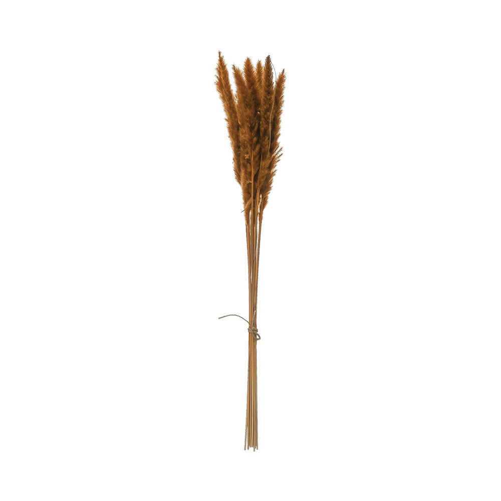 Beautiful 25-1/2"H Dried Natural Pampas Grass Bunch is a perfect filler for your favorite vase.  Add a pop of color this fall to your favorite vase.  This color is called Mustard and is a vibrant Autumn Red.