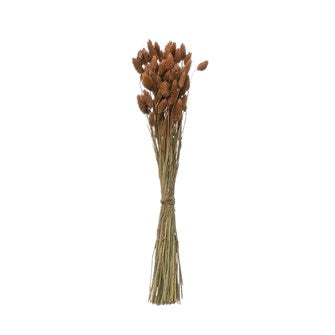 These dried canary stems are the perfect accent for any vessel.  The bunch stands 19-1/2″H Dried Natural Canary Grass Bunch, Sienna Color.
