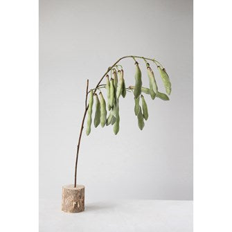 Make a statement with these 49"H Faux Pod Stems.  We call them edamame and are a fun and elegant botanical to any vase.  Seed pods are soft and will droop.