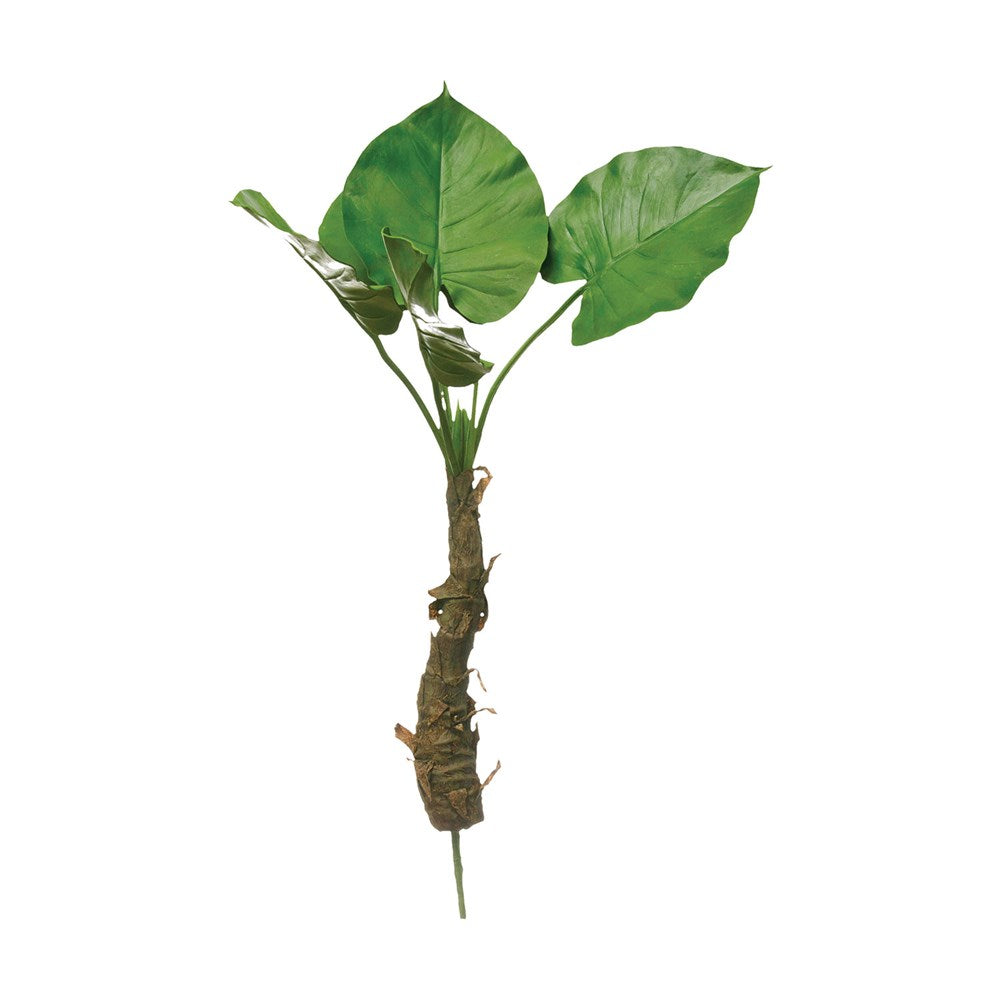 This 26-1/2"H Faux Philodendron Leaf Plant w/ Roots Botanical is the perfect add to vase. Makes the perfect faux planting you never have to water.