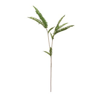 The 35"H Faux Fern Stems are perfect as a single or group several for a full realistic fern plant.