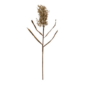 Country Vintage are these 35"H Faux Flocked Grain Spray stems in a Cream Color.  Lots of texture and volume are added to an arrangement with this botanical.