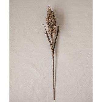 Country Vintage are these 35"H Faux Flocked Grain Spray stems in a Cream Color.  Lots of texture and volume are added to an arrangement with this botanical.