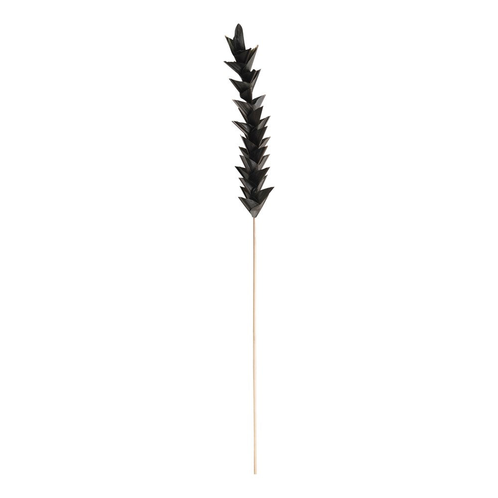 Add the 41"H Handmade Dried Natural Ginger Flower Pick botanical in Black to any vase or arrangement to make the strong independent statement.