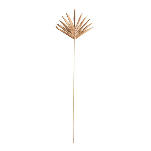 Sturdy 36"H Handmade Dried Buri Palm Lady Finger Pick Botanical in Natural color. Add several or mix and match your favorite botanicals to that fun boho style.